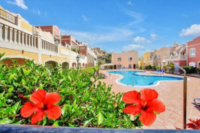 One bedroom appartement with shared pool terrace and wifi at Palm Mar 1 km away from the beach